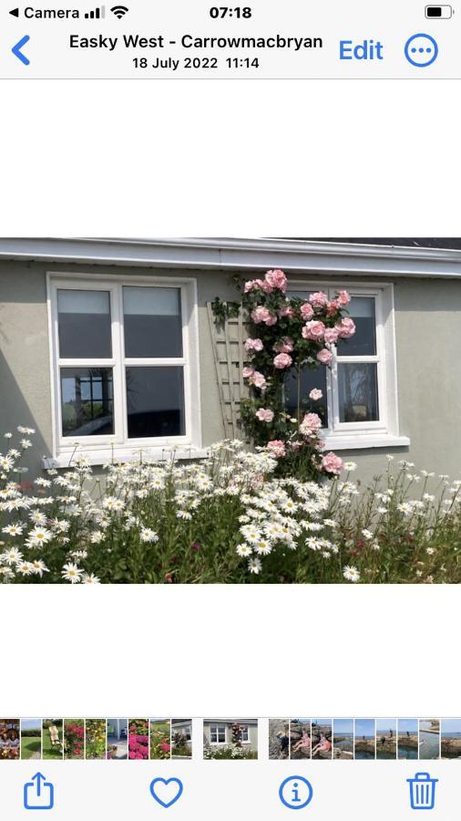 Wild Atlantic View Bed and Breakfast Sligo Eksteriør billede
